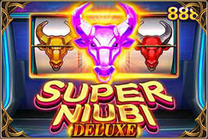 Super Niubi